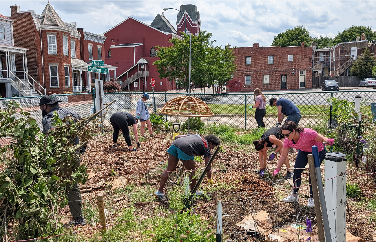 Article.Image.Placeholder Employees donate their time to mulch, weed, and help plant seeds of change at Fuchsia Freedom Garden